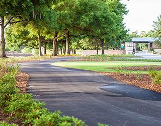 lifestyle-inline-avidfitpod